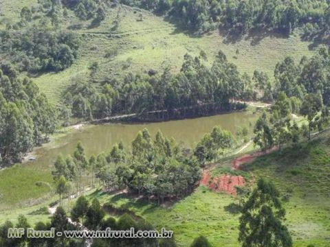 Sitio Bom Jardim - Muniz Freire