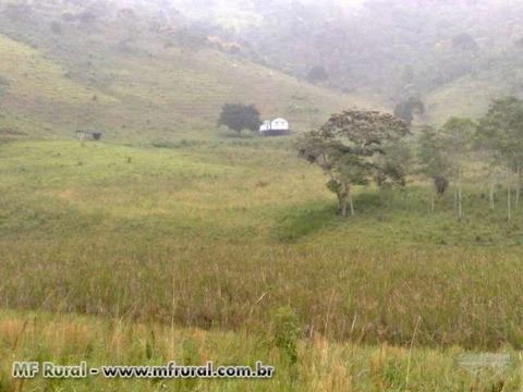 Sitio Bom Jardim - Muniz Freire