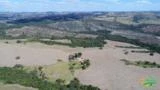 Fazendas de reflorestamento de eucalipto - Minas Gerais