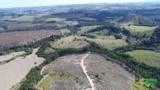 Fazendas de reflorestamento de eucalipto - Minas Gerais