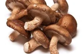Cogumelos Shimeji Branco e Shiitake