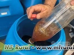 Óleo de Fritura e Vegetais Imagem Óleo de Fritura e Vegetais