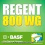 Regent 800 wg