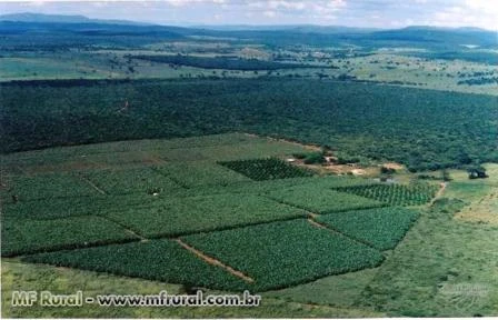 Fazenda de Fruticultura Irrigada Norte de Minas