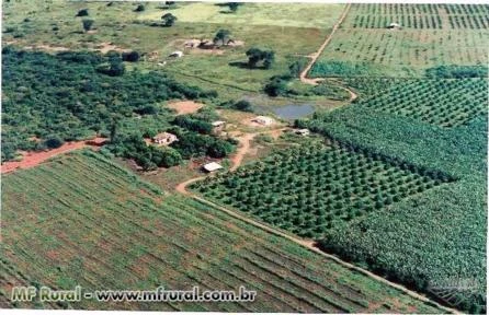 Fazenda de Fruticultura Irrigada Norte de Minas