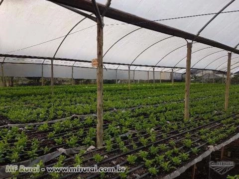 Composto Orgânico Imagem Composto Orgânico