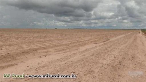 Fazenda de 4000 ha na COACERAL