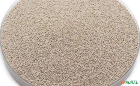 Peneira Molecular Imagem Peneira Molecular