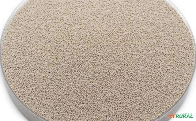 Peneira Molecular Imagem Peneira Molecular