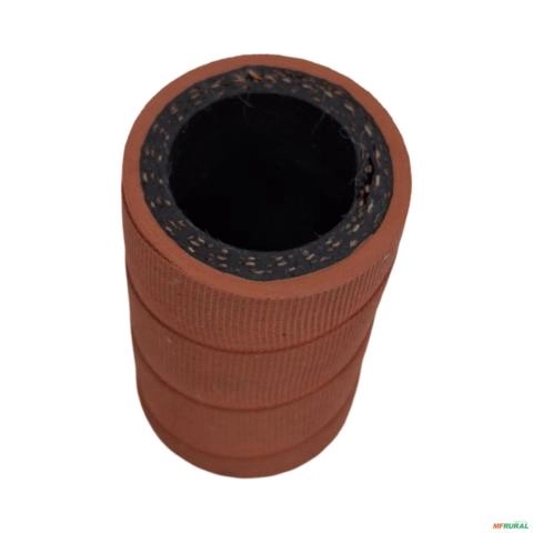 Imagem MANGUEIRA  33851119 206 Imagem MANGUEIRA  33851119 206