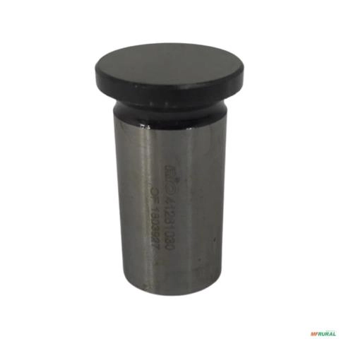 TUCHO DE VALVULA MOTOR FORD / GENESIS F-4600/6600/7610/7630, F-4000 41.281.030 1934 Imagem TUCHO DE VALVULA MOTOR FORD / GENESIS F-4600/6600/7610/7630, F-4000 41.281.030 1934