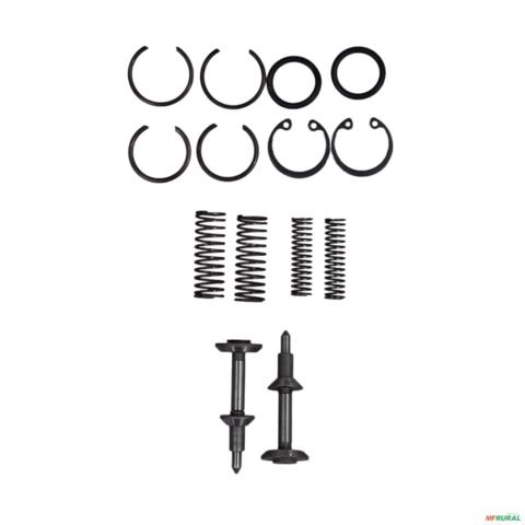 JOGO DE VALVULA PARA 1 CAMARA BOMBA MASSEY 180929/30(3176163) 2080 Imagem JOGO DE VALVULA PARA 1 CAMARA BOMBA MASSEY 180929/30(3176163) 2080