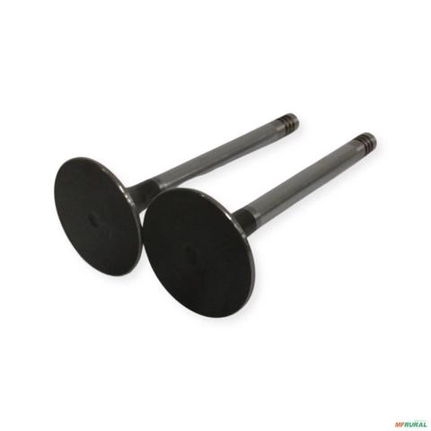 VALVULA DE ADMISSÃO MWM TD-229 TURBINADO (30G) VS-2696 3734 Imagem VALVULA DE ADMISSÃO MWM TD-229 TURBINADO (30G) VS-2696 3734