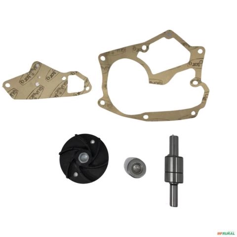 REPARO BOMBA 7000306000 4144 Imagem REPARO BOMBA 7000306000 4144