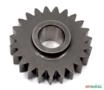 ENGRENAGEM Z-23 3698286-USINAFER/M.P 4641 Imagem ENGRENAGEM Z-23 3698286-USINAFER/M.P 4641