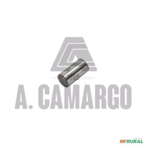 ROLETE DA PLANETARIA CARRARO 34061500 6091 Imagem ROLETE DA PLANETARIA CARRARO 34061500 6091