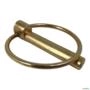 PINO COM ARGOLA 7/16 POLEGADAS 196280-(7/16" X 2" )9999999 6115 Imagem PINO COM ARGOLA 7/16 POLEGADAS 196280-(7/16" X 2" )9999999 6115