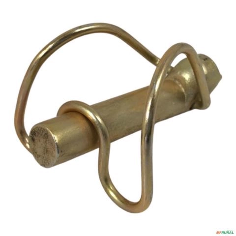 PINO C-ARGOLA 196281-14 x 65mm 6124 Imagem PINO C-ARGOLA 196281-14 x 65mm 6124