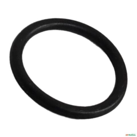 ANEL 364784 6289 Imagem ANEL 364784 6289