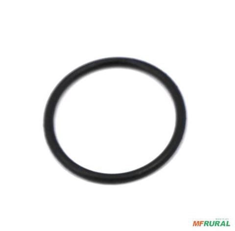 ANEL PISTAO HIDR.TRAS. - MF 21,95 X 1,78 0364101 7277 Imagem ANEL PISTAO HIDR.TRAS. - MF 21,95 X 1,78 0364101 7277