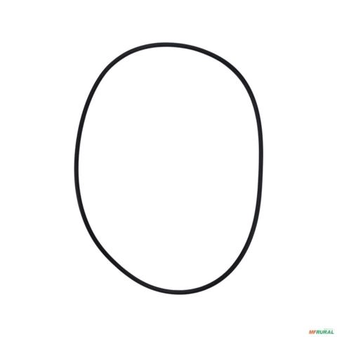 ANEL TSA 09 87534600-Z.F. 7324 Imagem ANEL TSA 09 87534600-Z.F. 7324