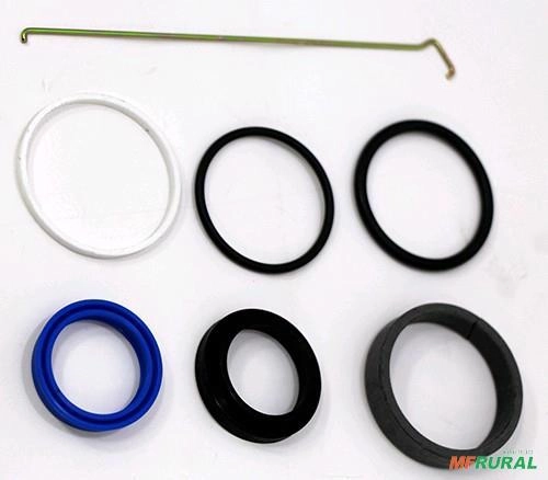 REPARO CILINDRO DIRECAO TL 80/90/100 APOS 10/98 82992949 8423 Imagem REPARO CILINDRO DIRECAO TL 80/90/100 APOS 10/98 82992949 8423