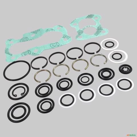 REPARO BOMBA HIDRAULICA TRASEIRA TRATOR MASSEY FERGUSON 265/275/290/292 3176603-AGEL 9074 Imagem REPARO BOMBA HIDRAULICA TRASEIRA TRATOR MASSEY FERGUSON 265/275/290/292 3176603-AGEL 9074