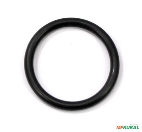 ANEL 044088 - 83957904 - 30907100 CAR 028189 9383 Imagem ANEL 044088 - 83957904 - 30907100 CAR 028189 9383