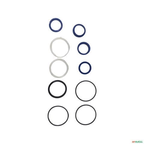 REPARO CILINDRO DIRECAO TRAÇÃO ZF AS-3035 0095298022 9607 Imagem REPARO CILINDRO DIRECAO TRAÇÃO ZF AS-3035 0095298022 9607