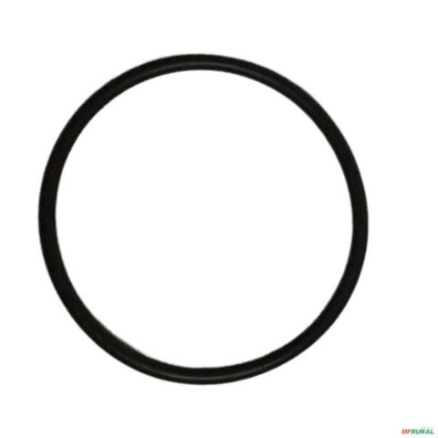 ANEL 2415745-AGEL 9751 Imagem ANEL 2415745-AGEL 9751