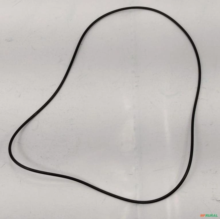 ANEL AS 3065  (0634.100.117) 6285713-Z.F. 10038 Imagem ANEL AS 3065  (0634.100.117) 6285713-Z.F. 10038