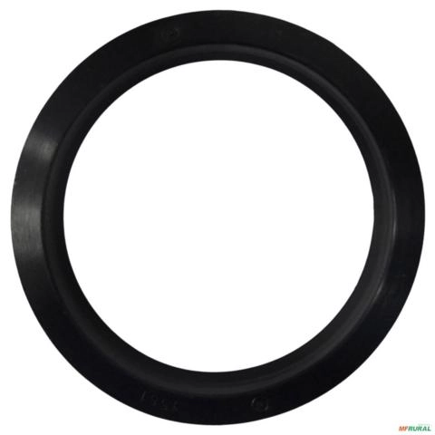 ANEL RASPADOR M.EIXO 2105-8240-8440 1000901053 13259 Imagem ANEL RASPADOR M.EIXO 2105-8240-8440 1000901053 13259