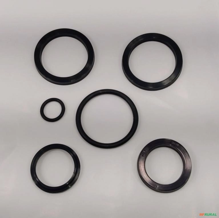 REPARO PISTAO LAMINA        (9000101050 ) 38mm=0501030380 13265 Imagem REPARO PISTAO LAMINA        (9000101050 ) 38mm=0501030380 13265