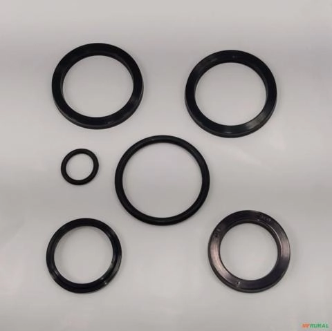 REPARO PISTAO LAMINA (9000101050 ) 38mm=0501030380 13265 Imagem REPARO PISTAO LAMINA (9000101050 ) 38mm=0501030380 13265