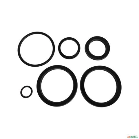 REPARO PISTAO LAMINA (9000101055) 40mm=0501030381 13270 Imagem REPARO PISTAO LAMINA (9000101055) 40mm=0501030381 13270