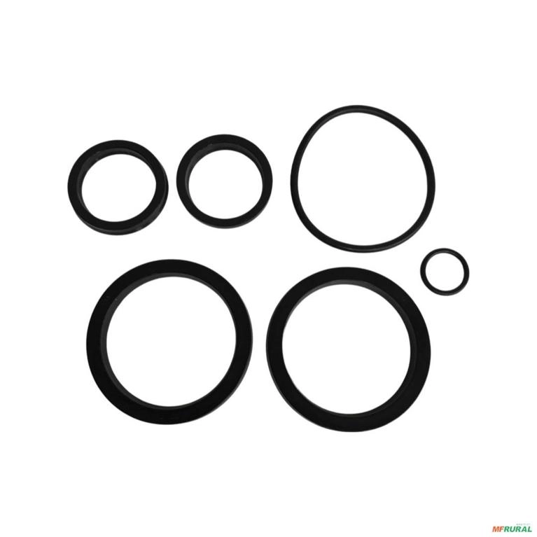 REPARO PISTAO LAMINA (9000101057) 50mm=0501030382 13273 Imagem REPARO PISTAO LAMINA (9000101057) 50mm=0501030382 13273