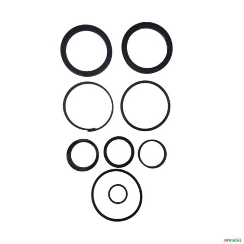 REPARO PISTAO GRADE TATU 50,8 X 101,6 0501031799 13279 Imagem REPARO PISTAO GRADE TATU 50,8 X 101,6 0501031799 13279