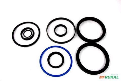 REPARO PISTÃO LAMINA TATU H.2 C.5 0501031961 13280 Imagem REPARO PISTÃO LAMINA TATU H.2 C.5 0501031961 13280