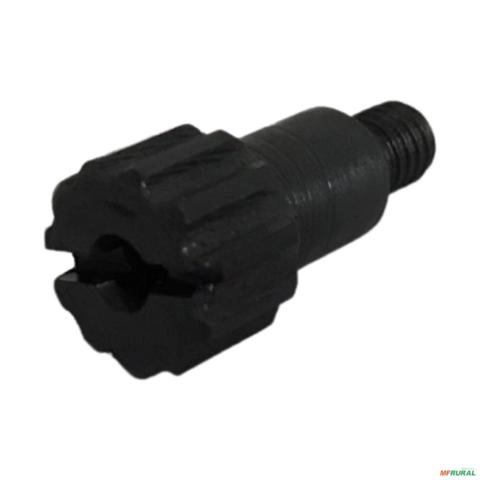 PINHAO 115550 13661 Imagem PINHAO 115550 13661