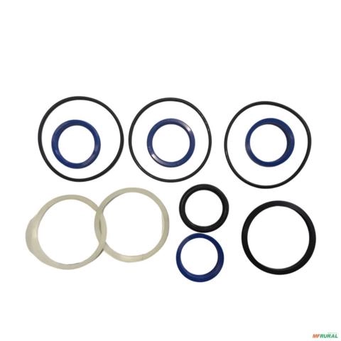 REPARO DO CILINDRO DIREÇÃO TRAÇÃO ZF APL350 001(3176378) 13771 Imagem REPARO DO CILINDRO DIREÇÃO TRAÇÃO ZF APL350 001(3176378) 13771