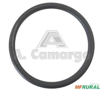 ANEL 244270 14482 Imagem ANEL 244270 14482
