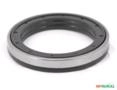 RETENTOR INTERNO CUBO TRACAO ZF AS-3065 / TSA-20 86312000 14718 Imagem RETENTOR INTERNO CUBO TRACAO ZF AS-3065 / TSA-20 86312000 14718