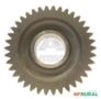 ENGRENAGEM 80796900-OR/EATON 14736 Imagem ENGRENAGEM 80796900-OR/EATON 14736