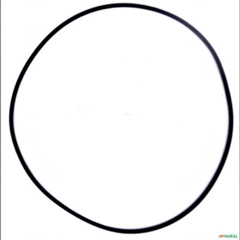 ANEL B 3176331 80600600=3176331 14767 Imagem ANEL B 3176331 80600600=3176331 14767