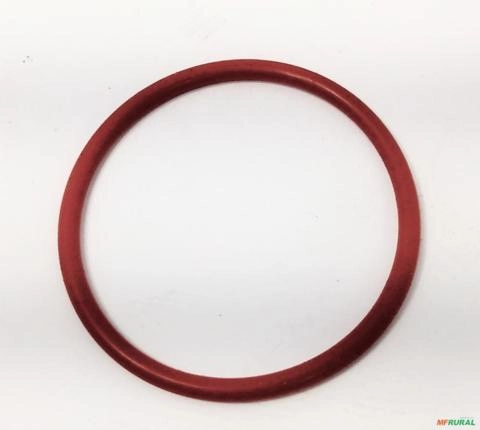 ANEL TAMPA 6.0493.10.6.0443 15259 Imagem ANEL TAMPA 6.0493.10.6.0443 15259