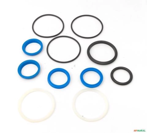 REPARO CILINDRO DIRECAO TRAÇÃO ZF APL-335 81624100 15308 Imagem REPARO CILINDRO DIRECAO TRAÇÃO ZF APL-335 81624100 15308