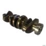 VIRABREQUIM MOTOR MWM TD229/4 4-CIL TURBO 622881400148 15763 Imagem VIRABREQUIM MOTOR MWM TD229/4 4-CIL TURBO 622881400148 15763