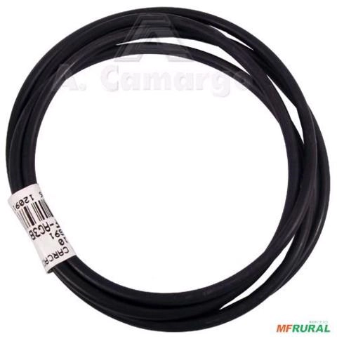 ANEL DA CARCACA FORD 6600 A 8030 379313S91 16483 Imagem ANEL DA CARCACA FORD 6600 A 8030 379313S91 16483