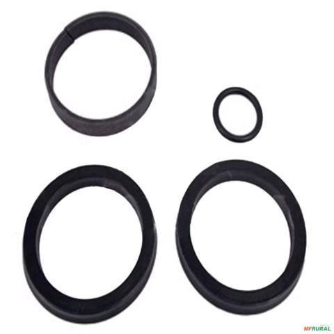 REPARO PISTAO GRADE-LAMINA BALDAN. PDV-118 EXT.63mm 24819 Imagem REPARO PISTAO GRADE-LAMINA BALDAN. PDV-118 EXT.63mm 24819