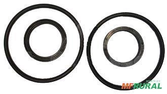 REPARO PISTAO GRADE-LAMINA BALDAN. PDV-279EXT.111mm 24821 Imagem REPARO PISTAO GRADE-LAMINA BALDAN. PDV-279EXT.111mm 24821